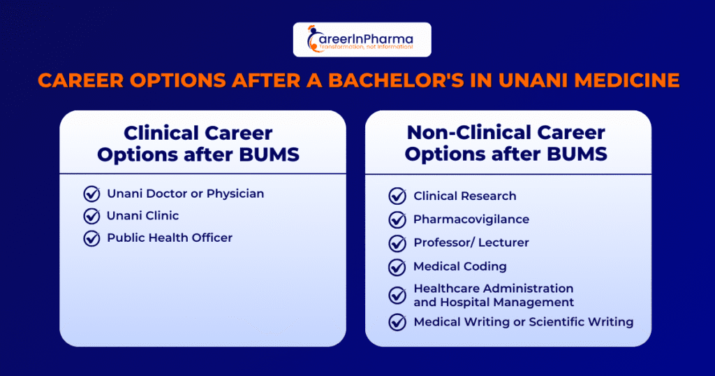 Career Options After a Bachelor's in Unani Medicine